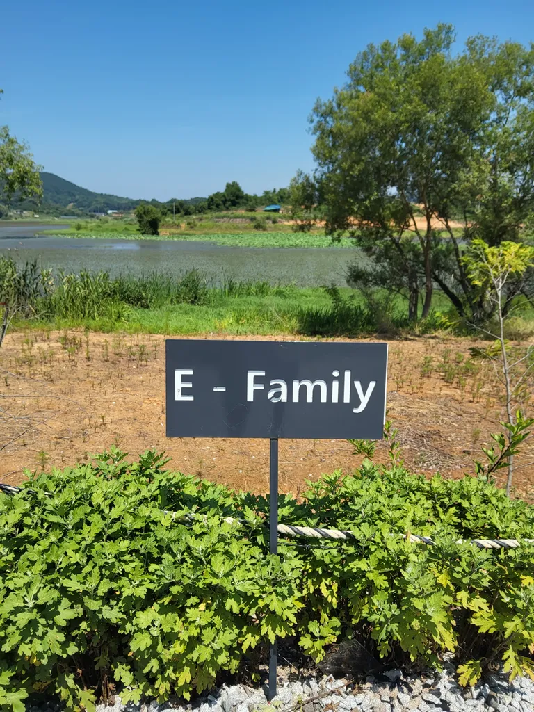 E-FAMILY