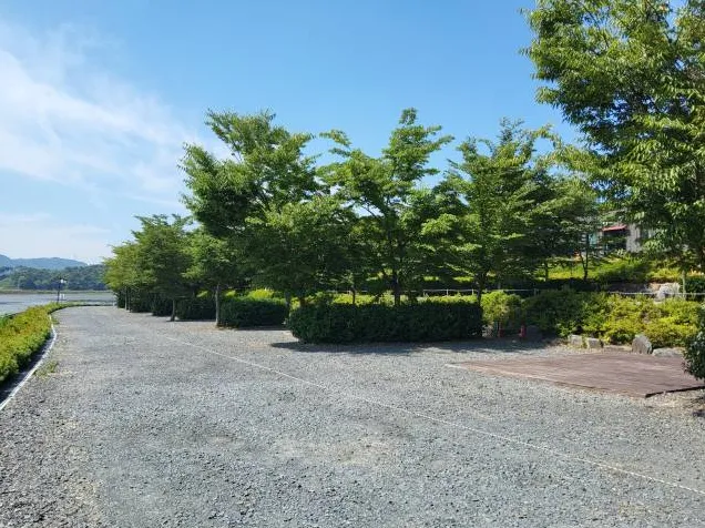 C-1 이미지 2