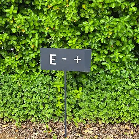 E-PLUS