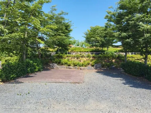 C-10