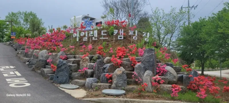 25년 블루아일랜드캠핑장 봄🌸